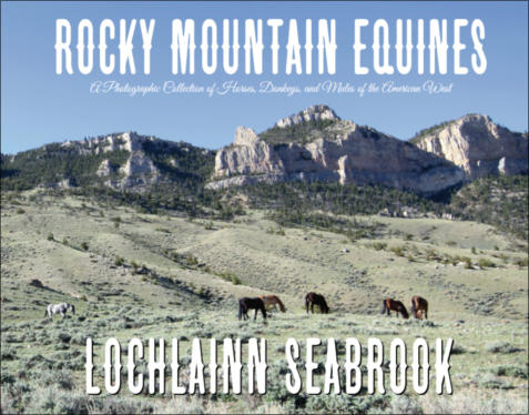 "Rocky Mountain Equines: A Photographic Collection of Horses, Donkeys, and Mules of the America West," from Sea Raven Press (hardcover)