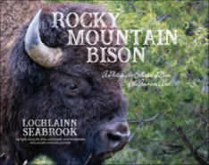 "Rocky Mountain Bison: A Photographic Collection of Bison of the American West," from Sea Raven Press