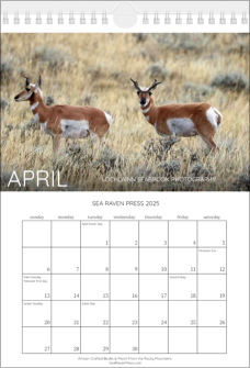 Our "Rocky Mountain Wildlife" wall calendar - April