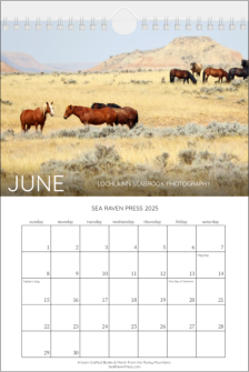 Our "Rocky Mountain Wildlife" wall calendar - June