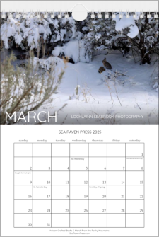 Our "Rocky Mountain Wildlife" wall calendar - March