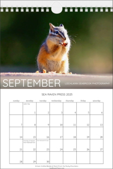 Our "Rocky Mountain Wildlife" wall calendar - September